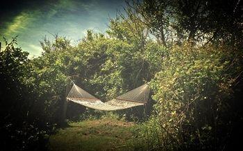 Sea Breeze Inn New Shoreham Ngoại thất bức ảnh